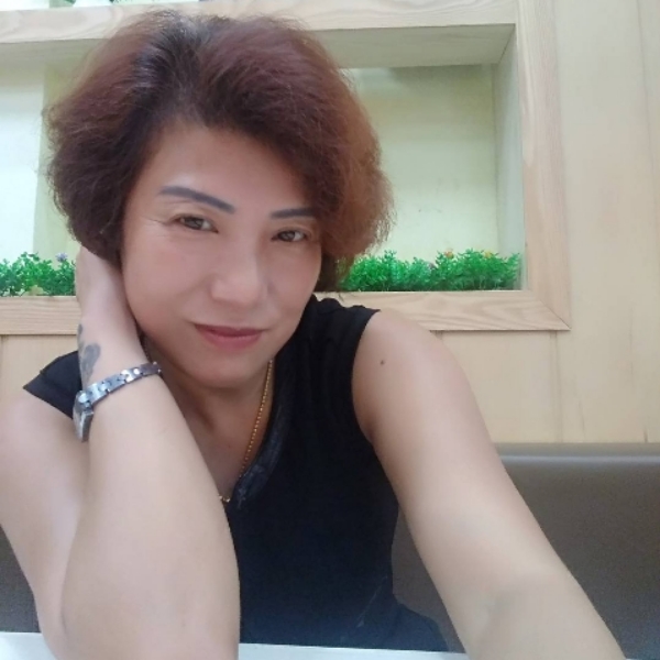 骄阳下的红玫瑰的照片