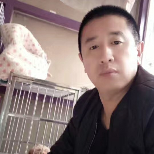 会员946637986的照片
