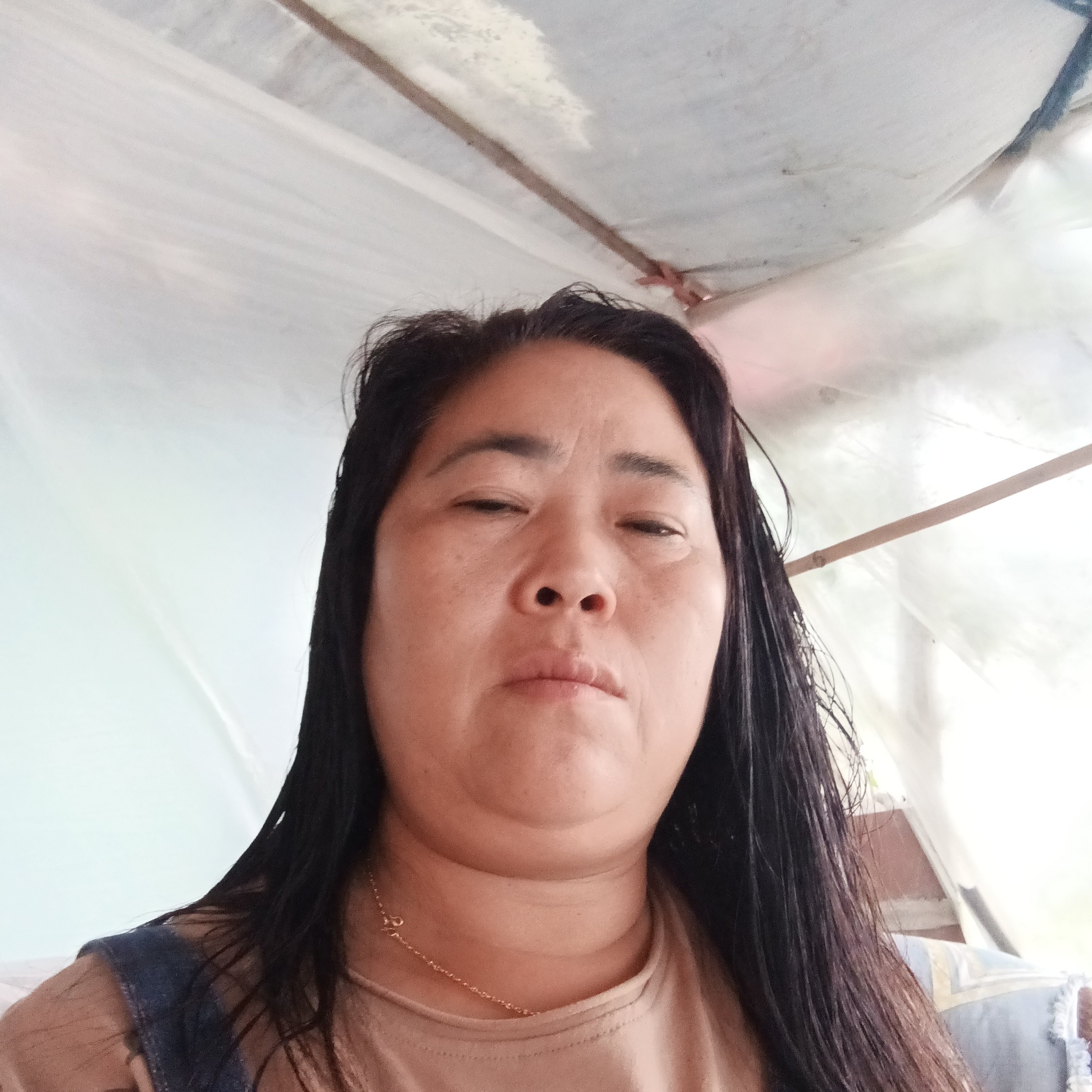 听话向星星的照片