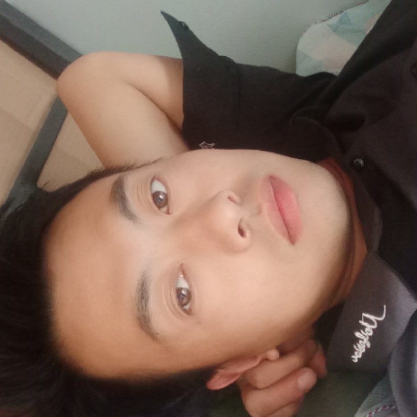 早晨沉默的照片