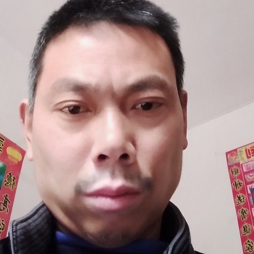 龙猫相许羞涩的照片