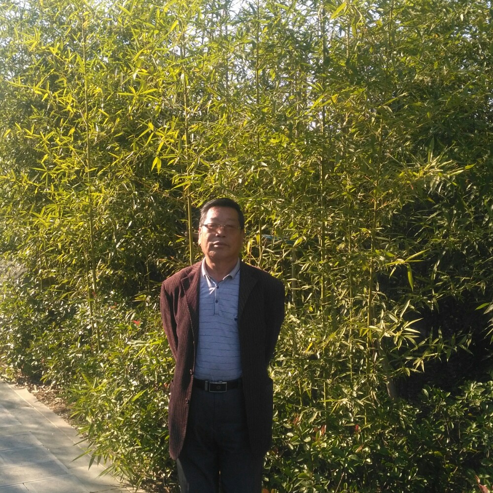 人间三月天的照片
