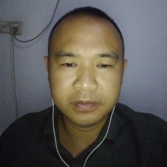 兴奋斑马的照片