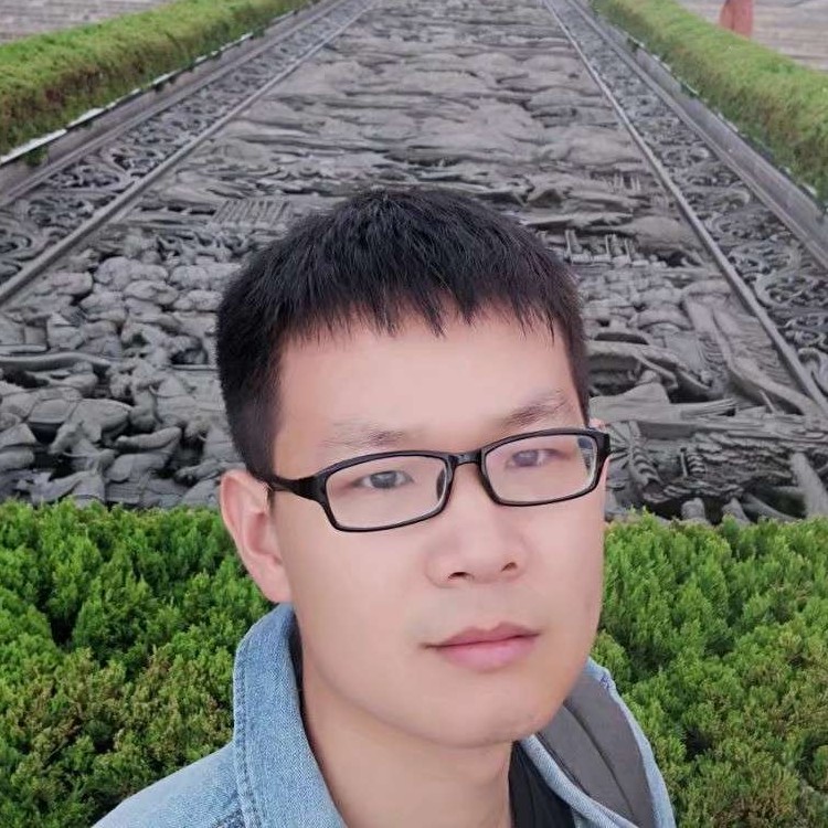 雨林暮风的照片