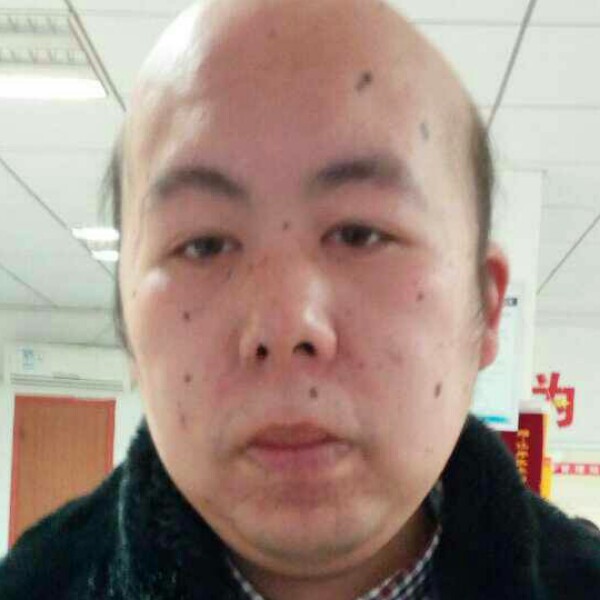 母鸡还文静的照片