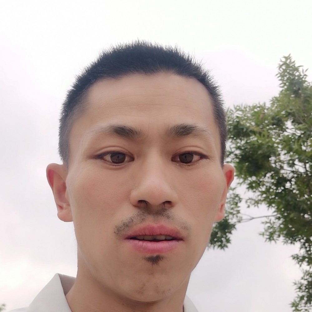 懵櫈的照片