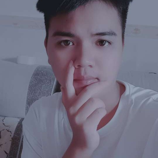 猫咪爱尊敬的照片