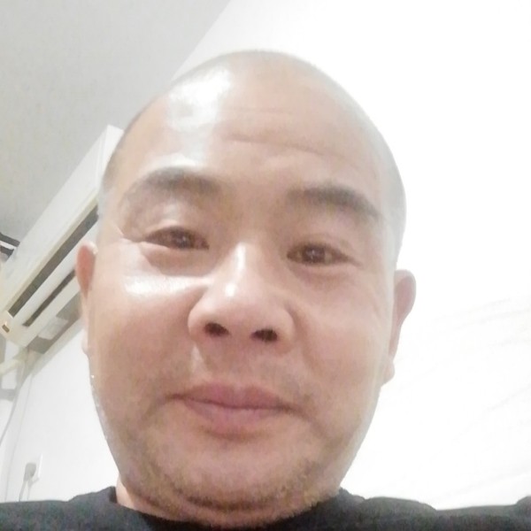 照财进宝的照片