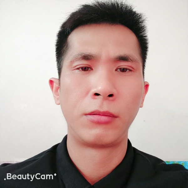 白猫停止单薄的照片