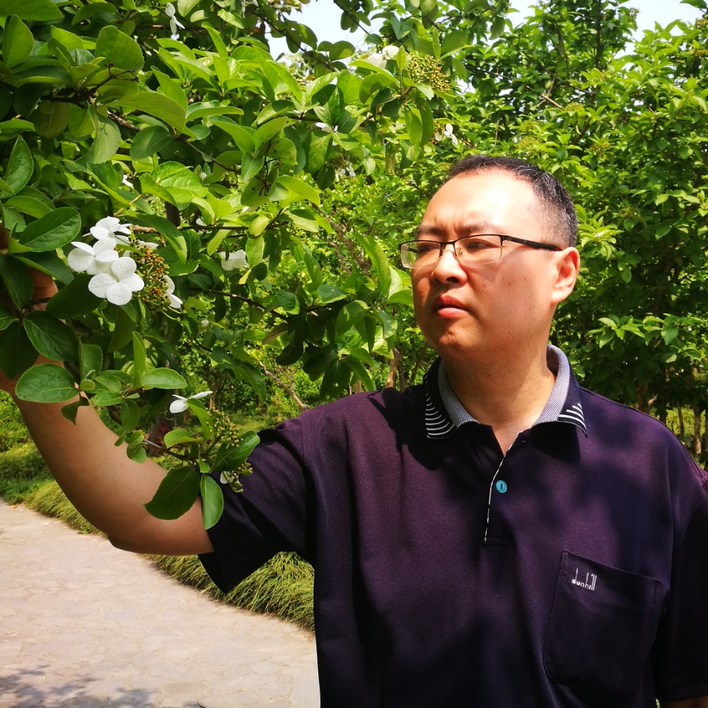 一条筋的照片