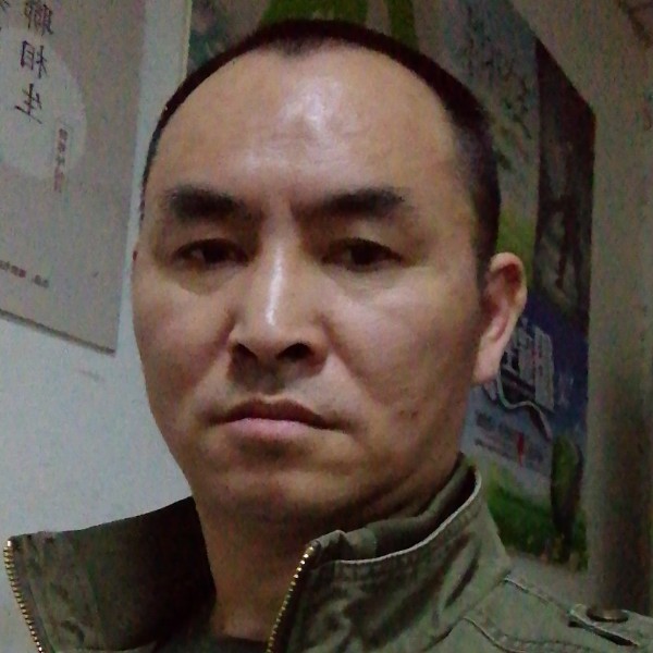 狗寂冷的照片
