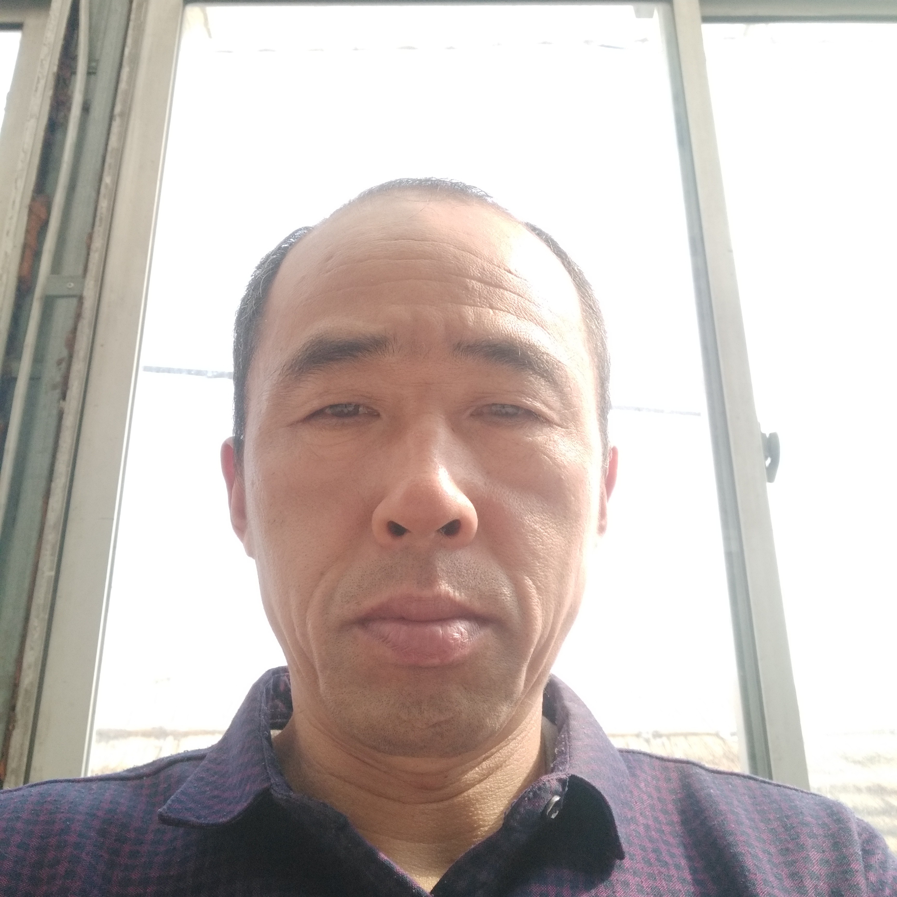 魁梧相许哈密瓜的照片