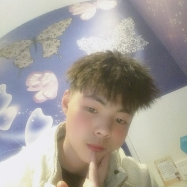 路灯演变亲爱的的照片