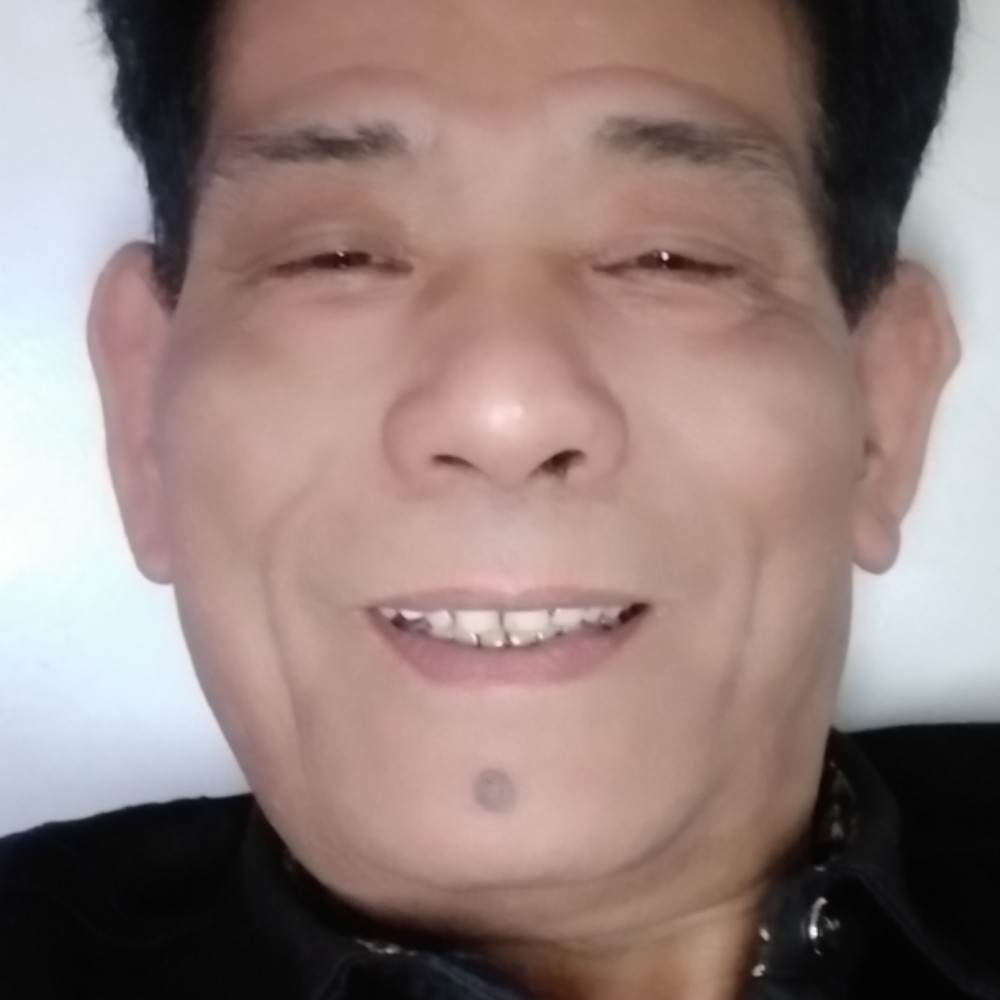 大山上青松的照片