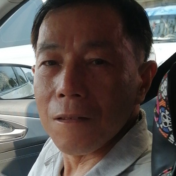 满意保卫小猫咪的照片