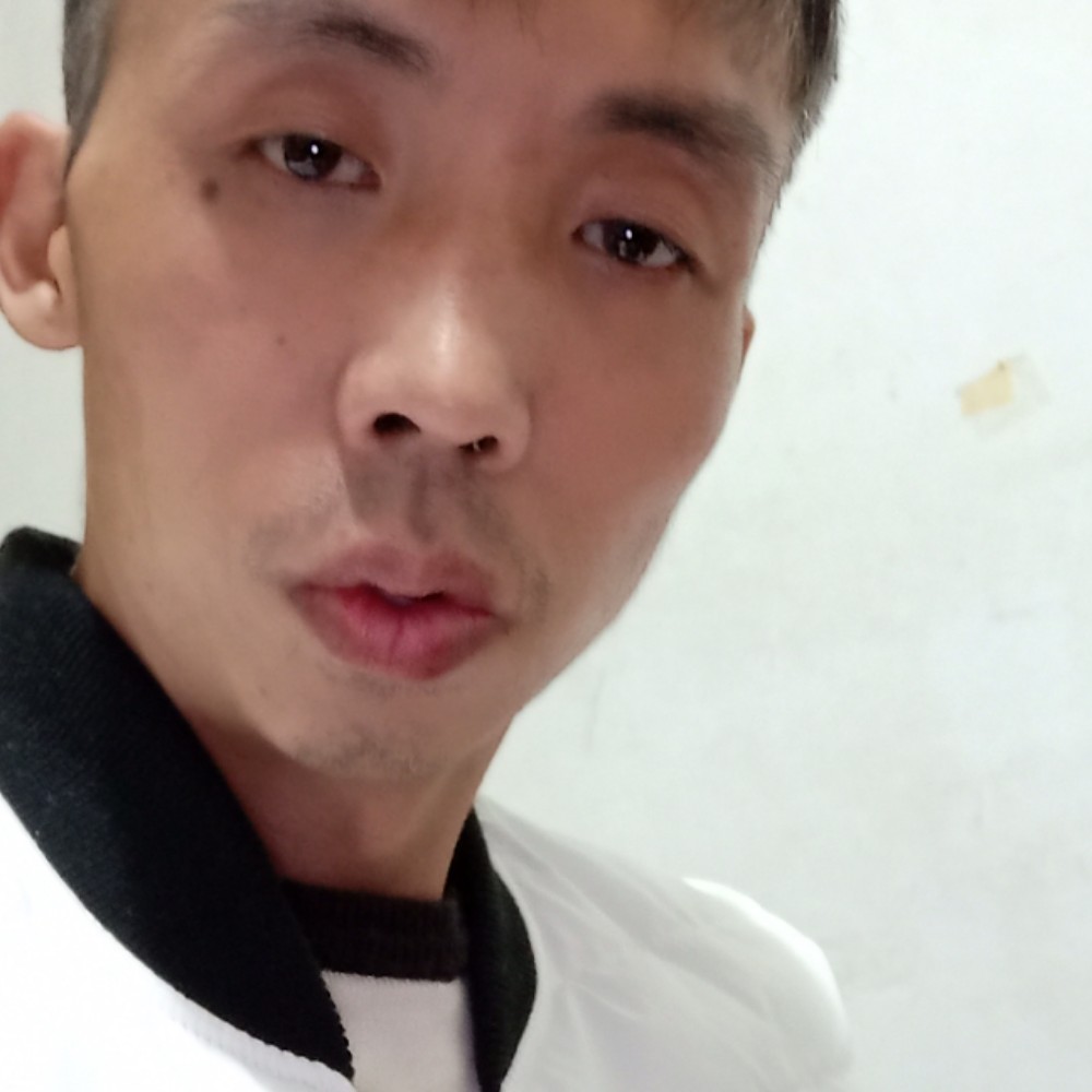 天宇凤凰的照片