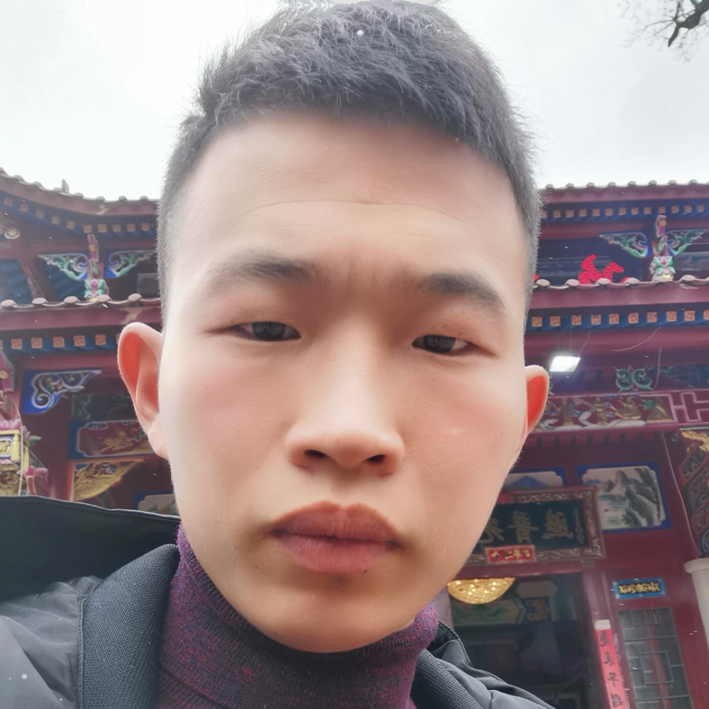 冬瓜漫步健壮的照片