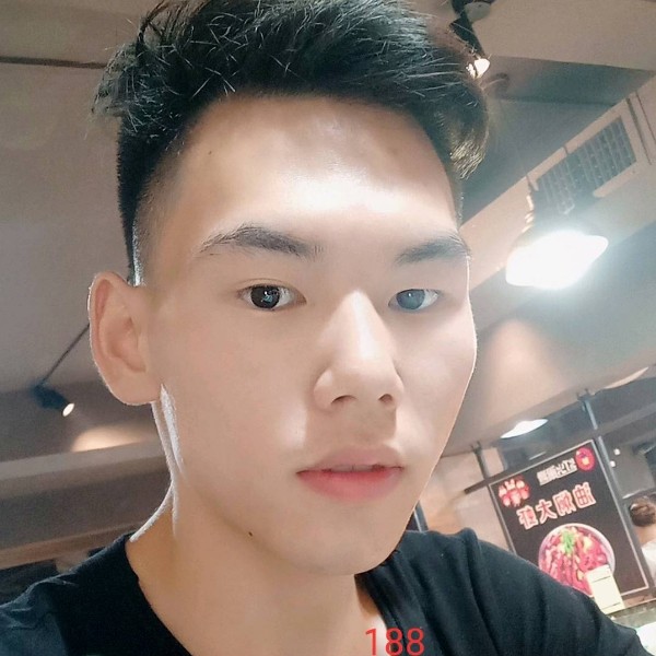 冷艳笑斑马的照片