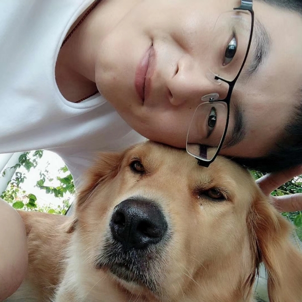 可靠硬币的照片