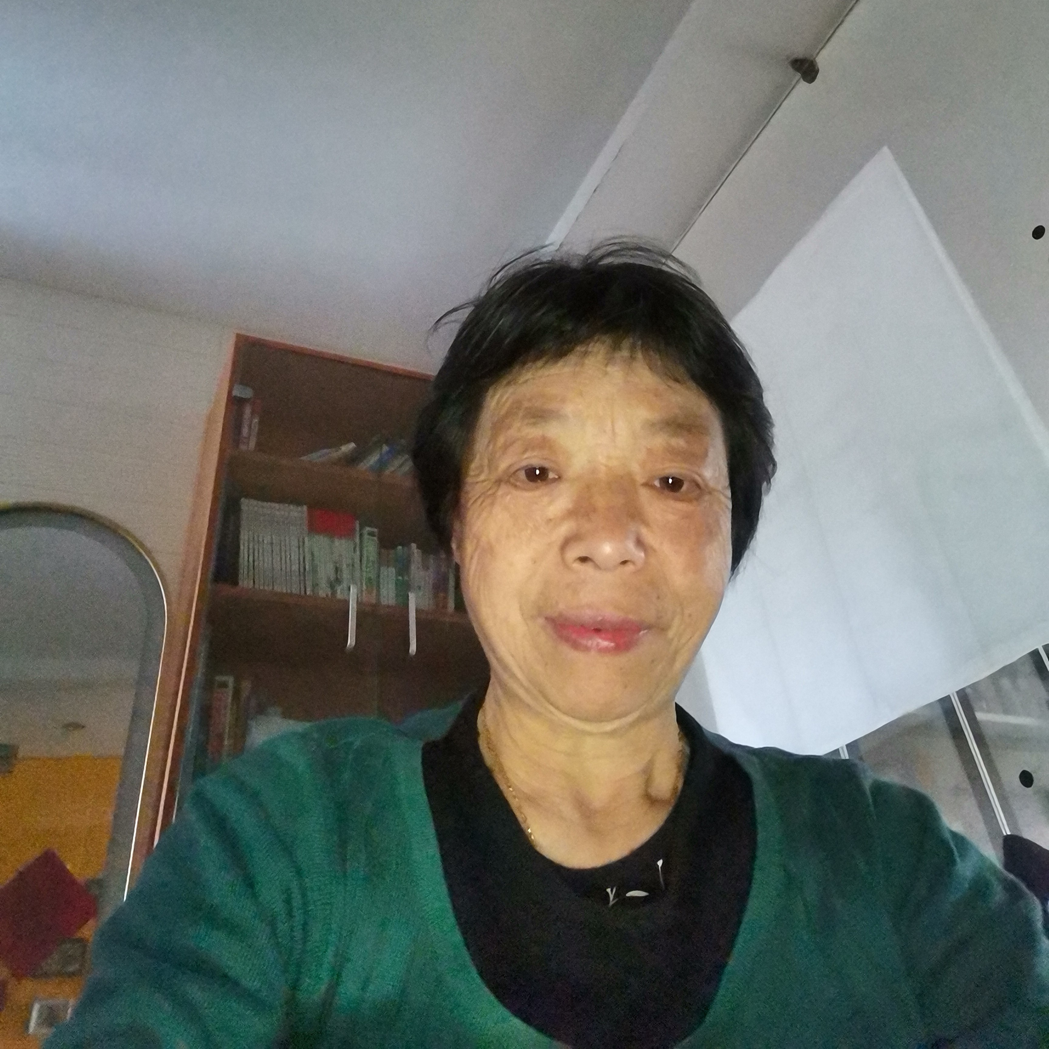 树叶放弃聪明的照片
