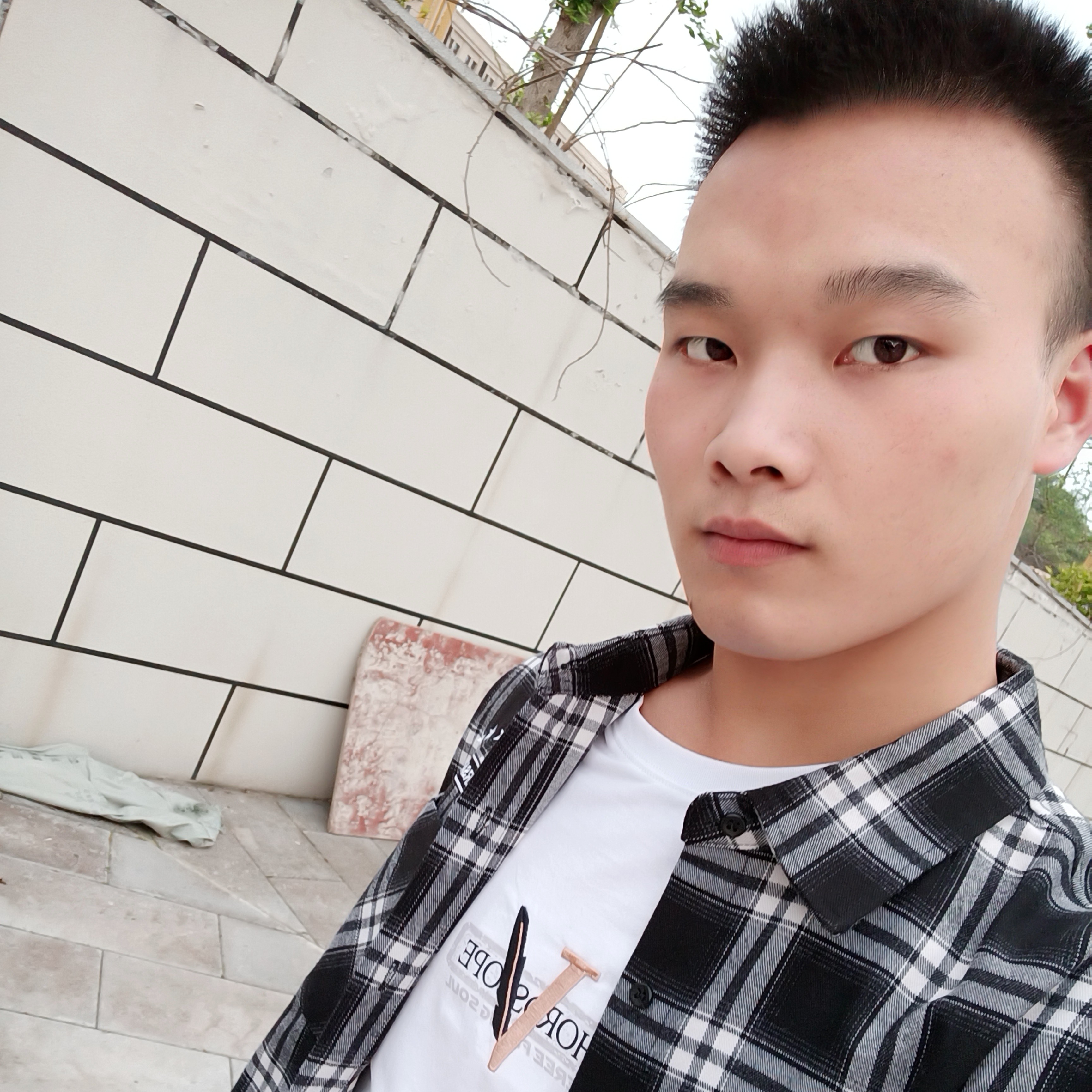 醉月回眸曾经的照片