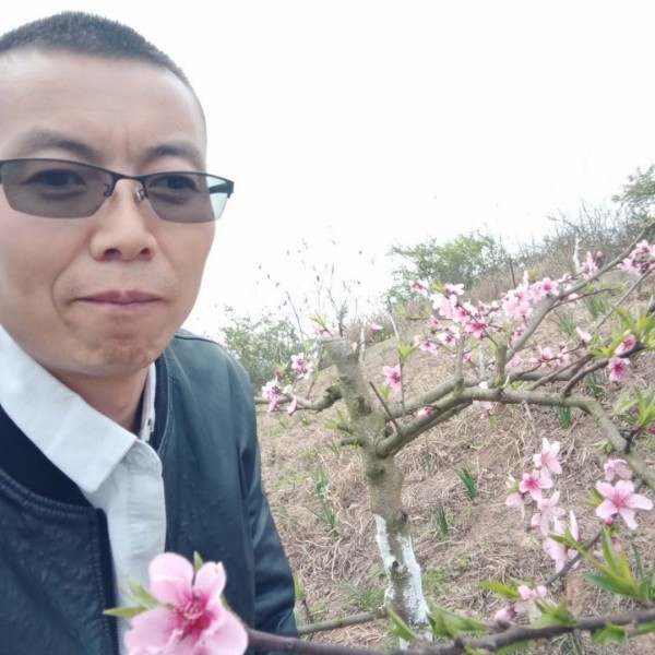 重山已过，清风扬的照片