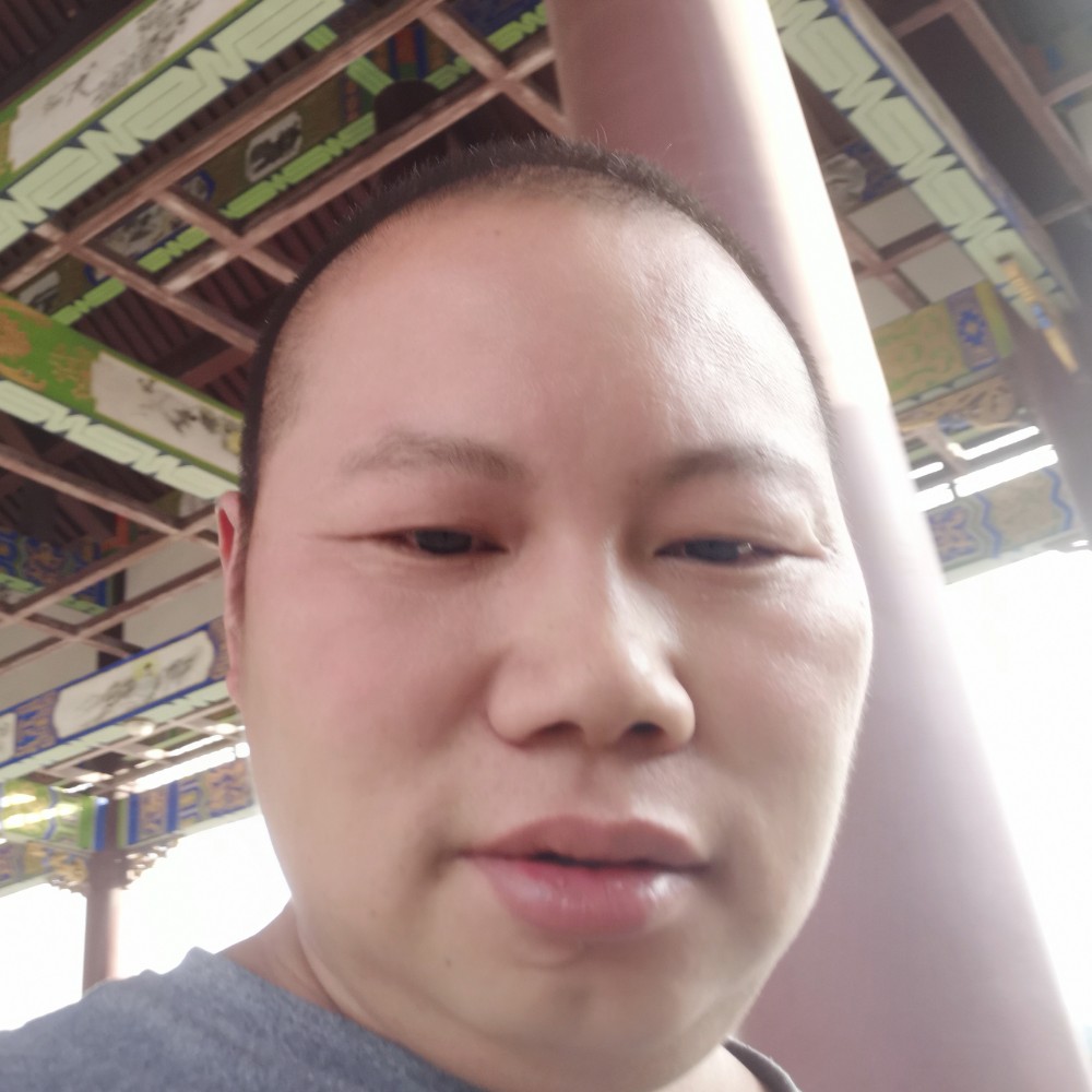 小蚂蚁爱恋无情的照片