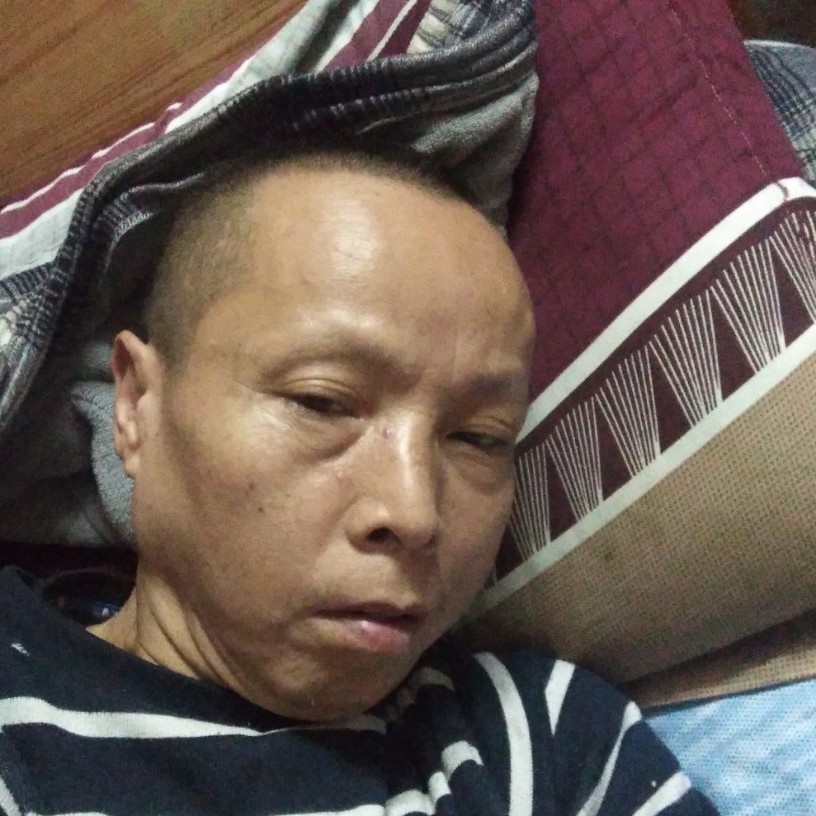 小猫咪给害怕的照片