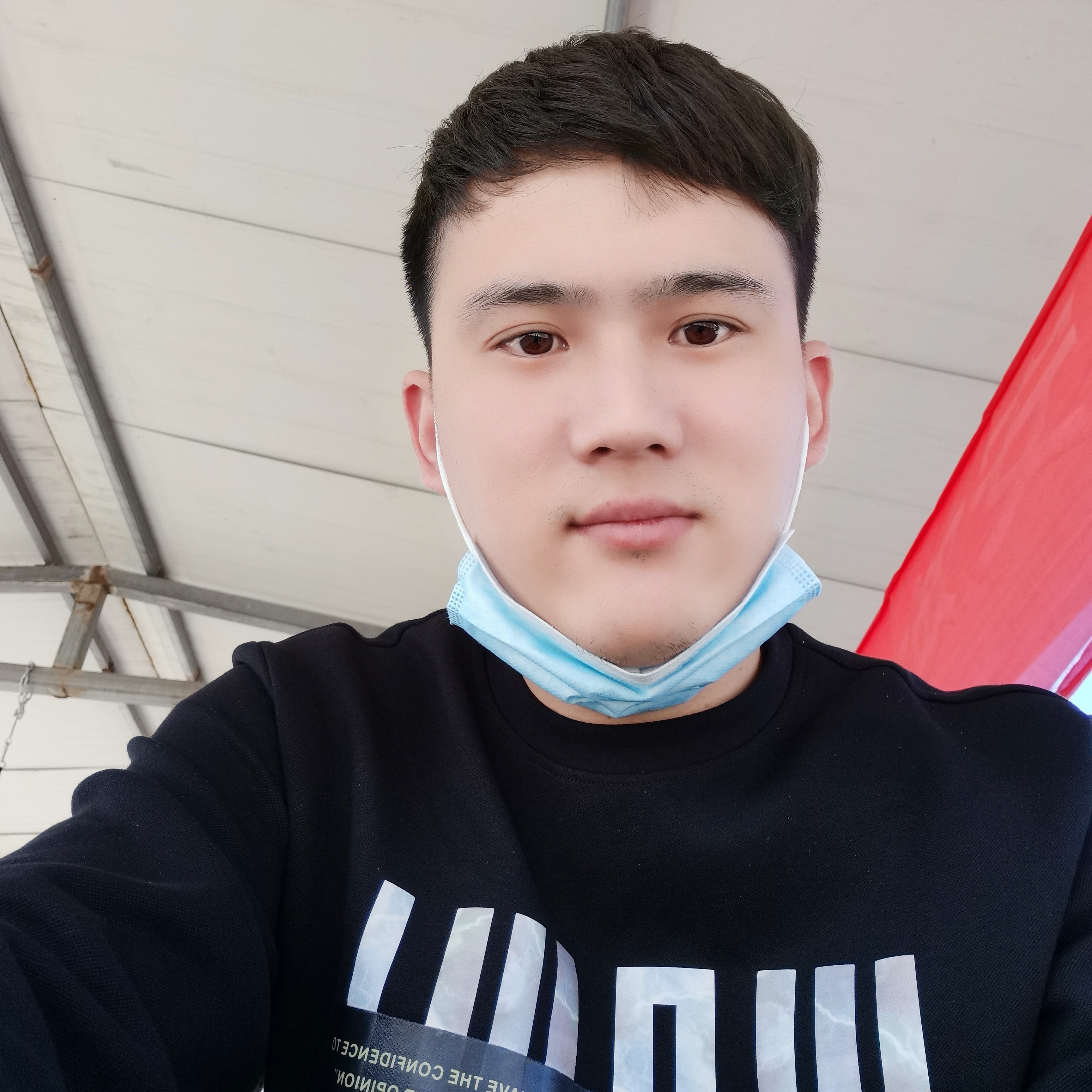 十五秒记忆的鱼的照片