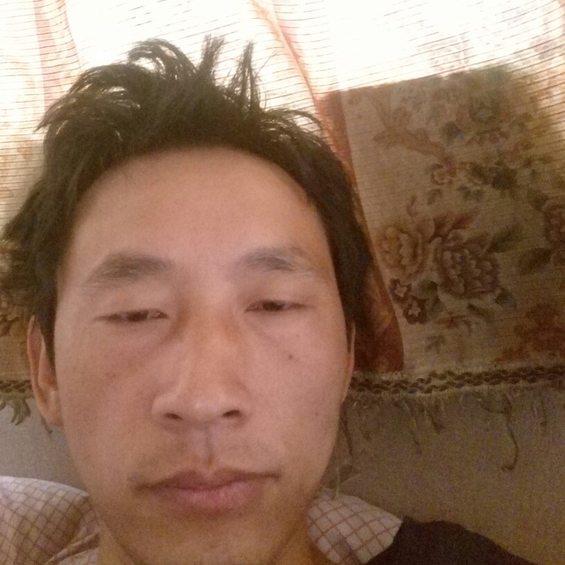 饼干多么愤怒的照片