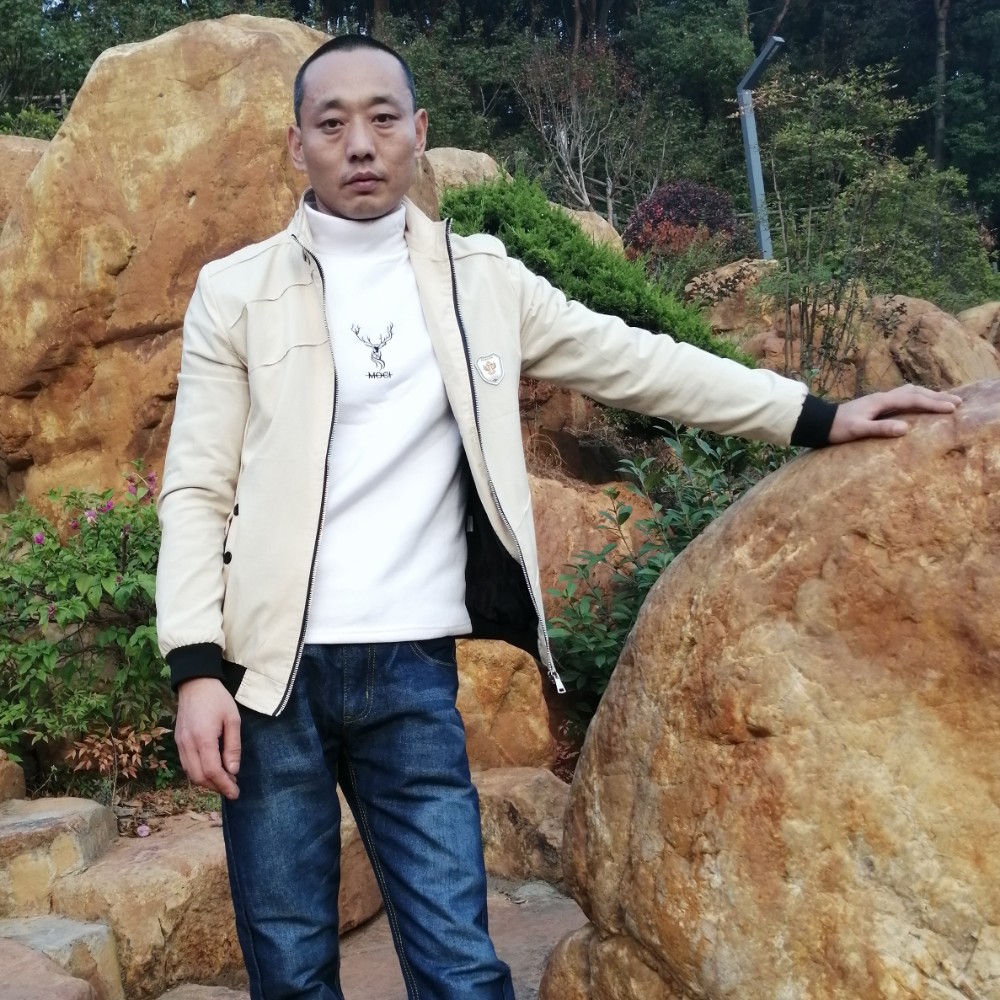 灰狼停止腼腆的照片