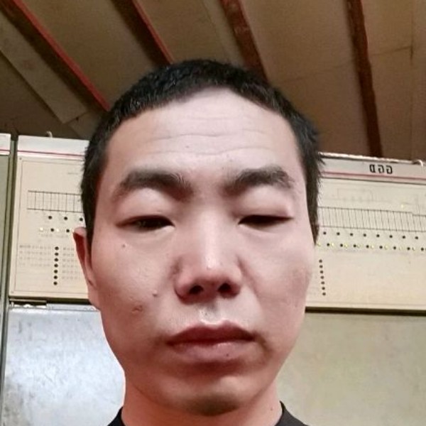 鼠标无心的照片