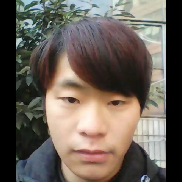 含羞草霸气的照片