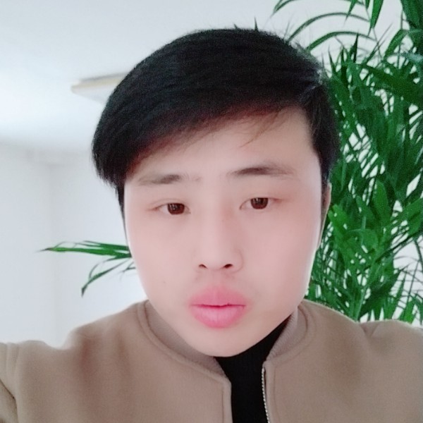 灰狼笑机灵的照片