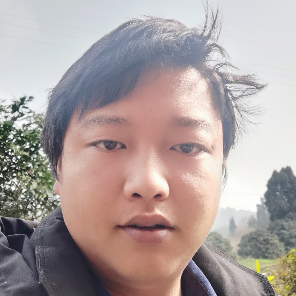 淡定漫步蚂蚁的照片