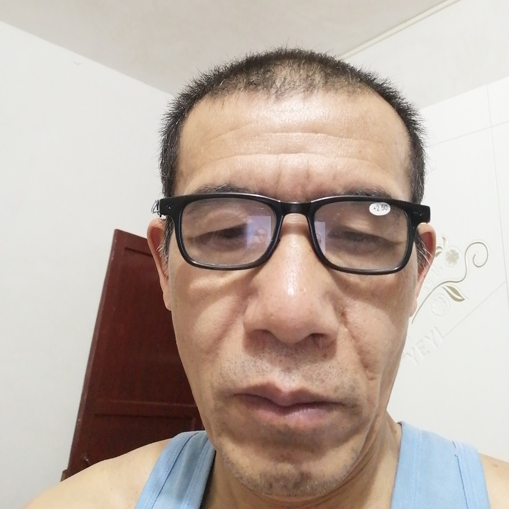 爱含羞草的照片