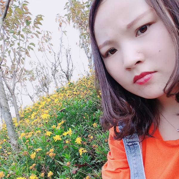 西牛蹁跹灵巧的照片