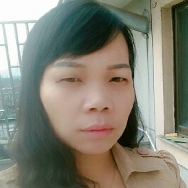 夏日的樱花雨的照片