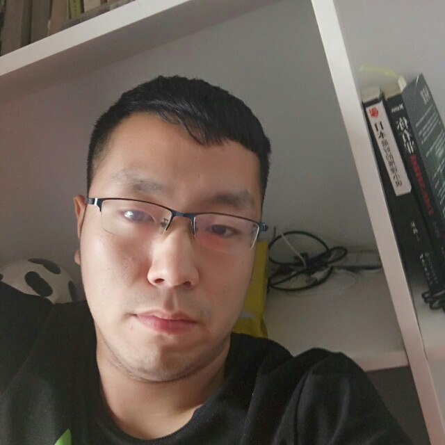 冰冻企鹅的照片