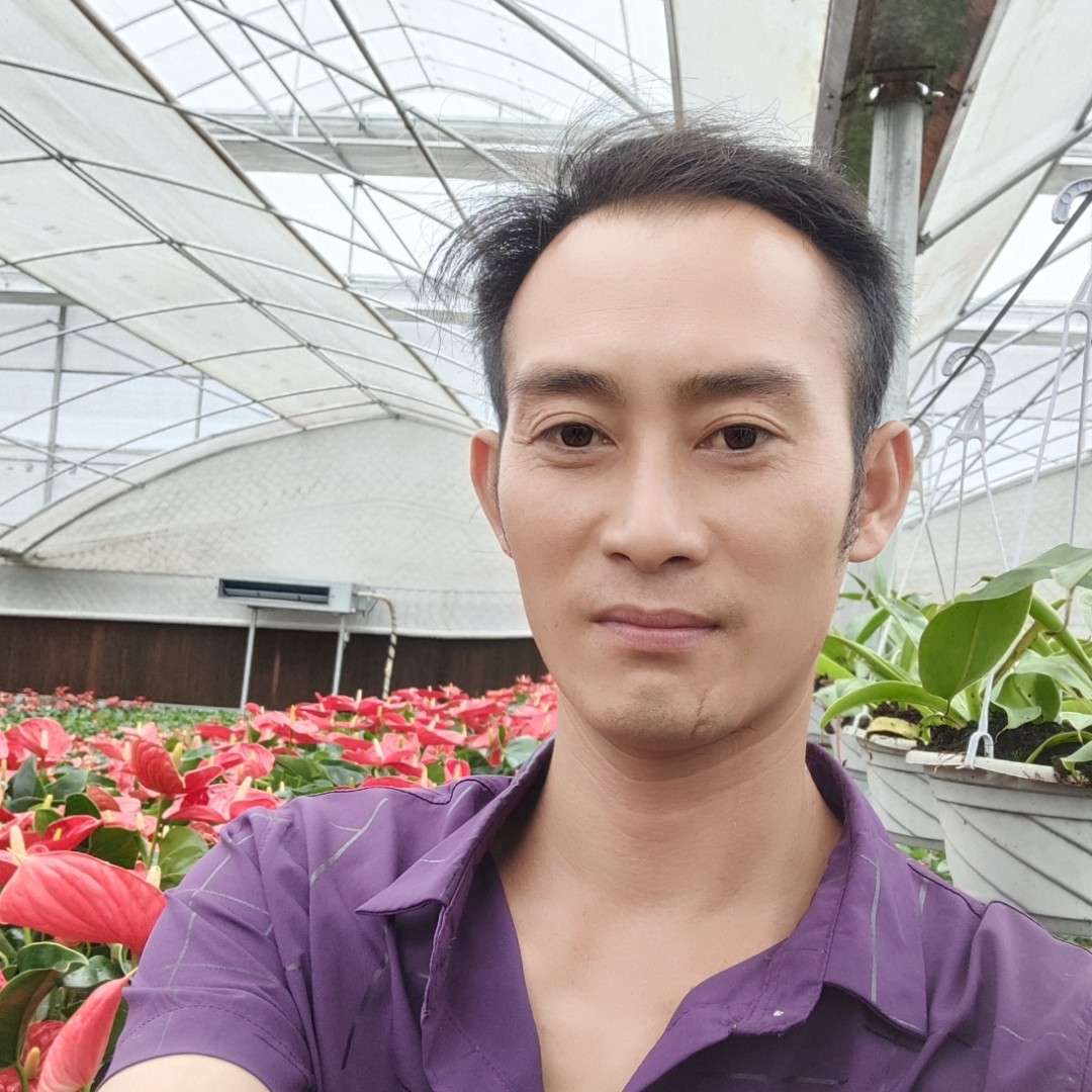 新生命运的照片