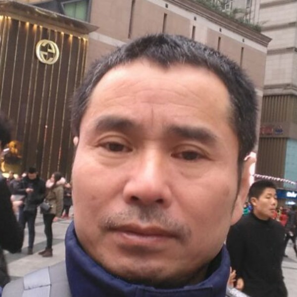 隐忍白猫的照片