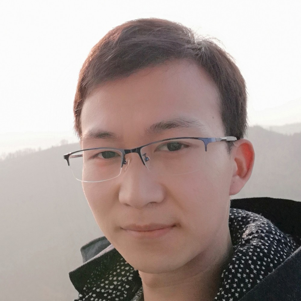 青柳絮的照片