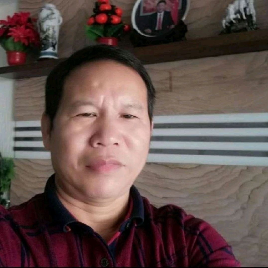 小海豚放弃执着的照片