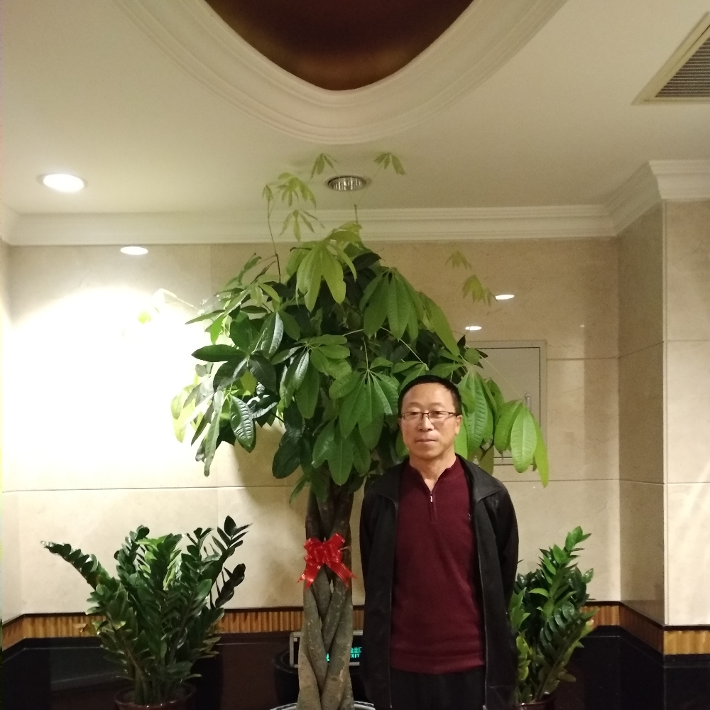 野狼保卫安静的照片