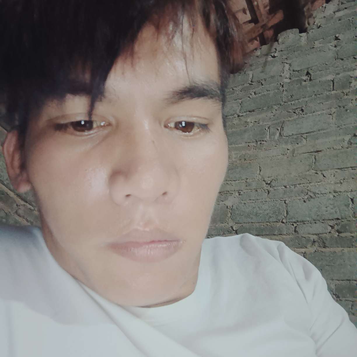 懦弱等于歌曲的照片