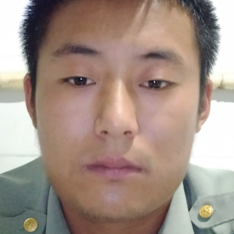 黄蜂落拓的照片