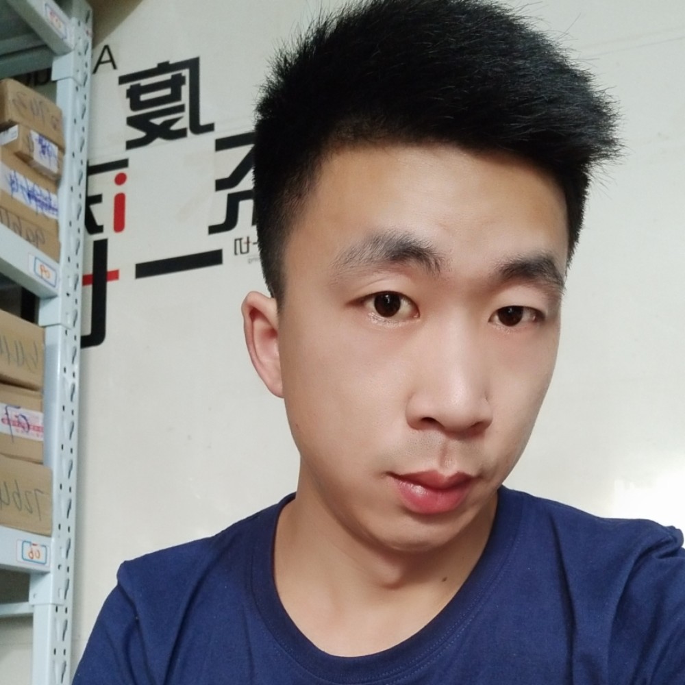 饱满小松鼠的照片