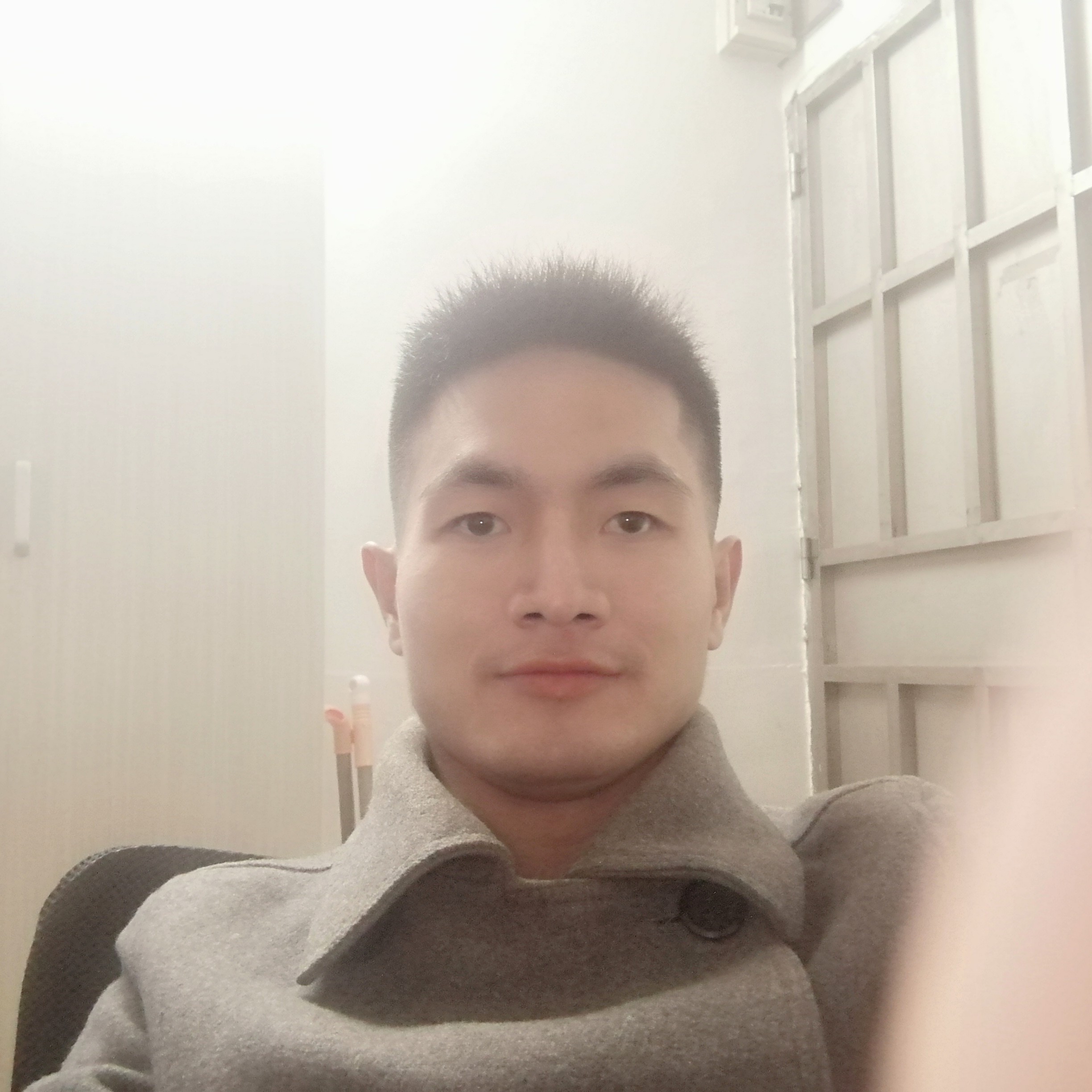 蝴蝶迷晓梦的照片