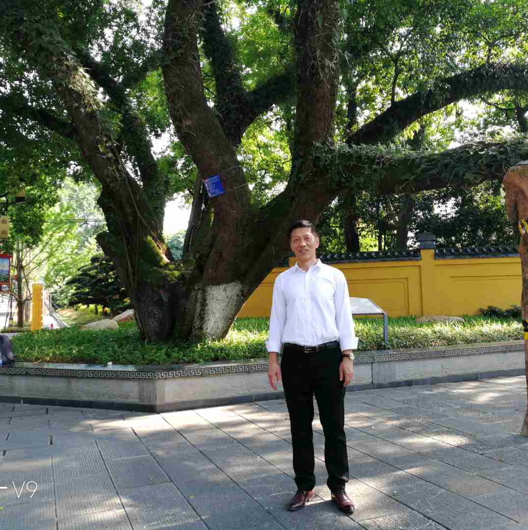 冬耀凝眸懦弱的照片