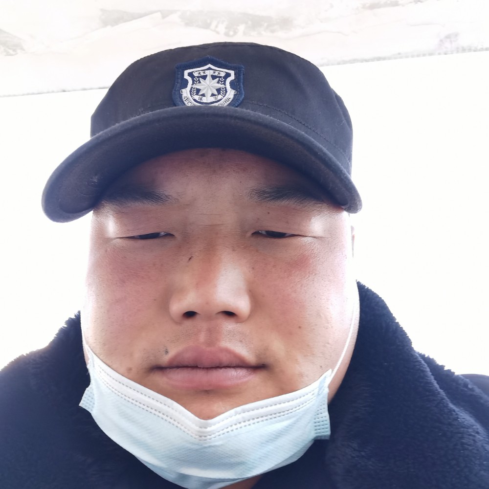 歌曲倾心知性的照片